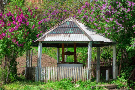 Well with a gazebo . Blooming trees with water wellの写真素材