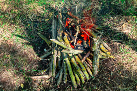 Burning brushwood for picnic fireの写真素材
