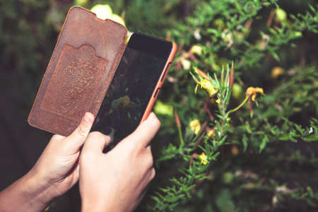 Making a photo by smartphone in the garden