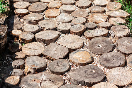 Wooden paving stone . Walking path made by wooden cut circlesの写真素材