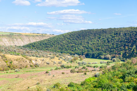 Green landscape with hills and forest . Spectacular nature in the summer . Rolling hills scenery