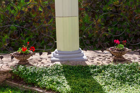 Decorative column and flower pots . Park ornamental gardenの写真素材