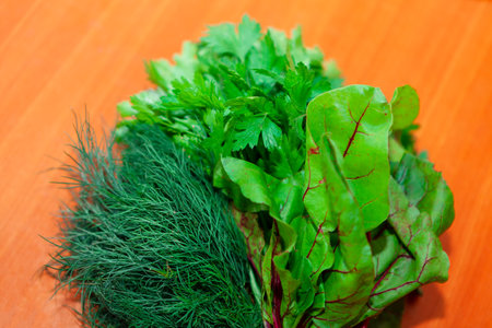 Dill parsley and beet leaves . Homegrown vegetables for salad . Spice for flavouring foodの写真素材