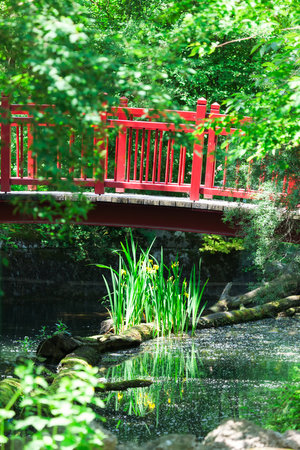 Footbridge over the pond . Red bridge in the park . Green nature with lake  . Idyllic nature sceneryの写真素材