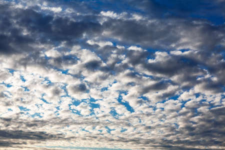 Spectacular Morning Altocumulus . Beautiful Clouds Across the Sky