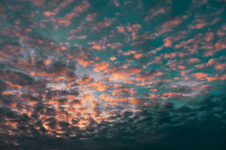 Middle level layered clouds . Altocumulus on the morning skyの写真素材