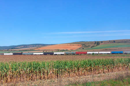Train in the agricultural fields . Rural scenery with wagons on the rails