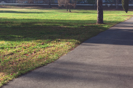 Lawn meadow and walking park in the park