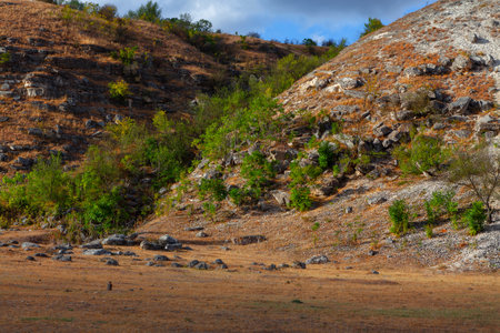 Canyon National Conservation Area . Rocky hills landscapeの写真素材