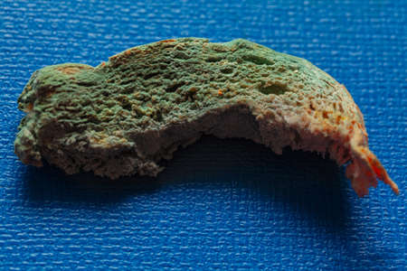 Bread with mold . Loaf with mildewの写真素材