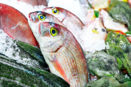 Fresh raw fish at market . Fish on the ice for sale