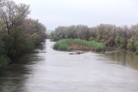 Island at flowing river water . Riverside spring nature
