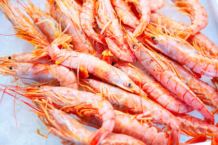 Red Shrimps on the ice in fishing marketの写真素材