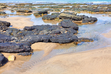 Low tide rocks on the coast . Ocean coastal scenery
