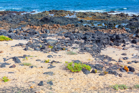 Volcanic Rocks on the Atlantic Ocean Coast in Tenerife Canary Islands Spain