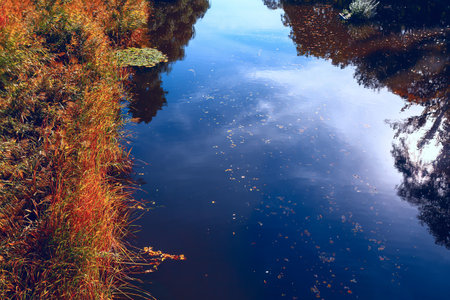Colorful autumn trees reflected in the water of a small lakeの写真素材