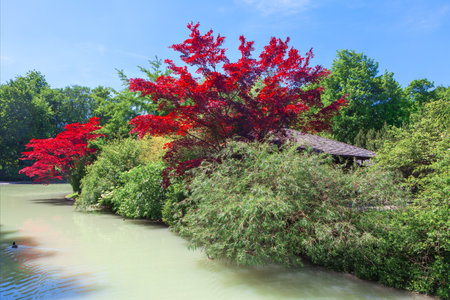 Beautiful landscape with red tree and house on the bank of the river