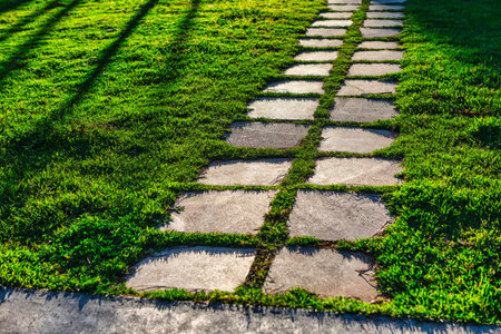 Stone walkway in the park with green grass and sunlight, Thailand.の写真素材