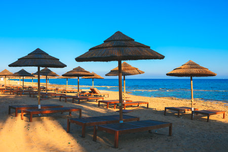 Beach umbrellas and sun loungers on the sandy beachの写真素材