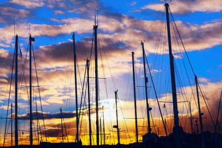 Silhouette of yachts in the port at sunset.