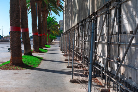 Sidewalk lined with palm trees on the left and a building under construction or renovation on the right, with scaffolding set up against the building's wall. Urban sidewalk is well maintainedの写真素材