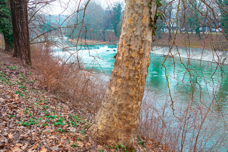 Serene river surrounded by late autumn nature. Scenery of river Po in Turin, Italyの写真素材