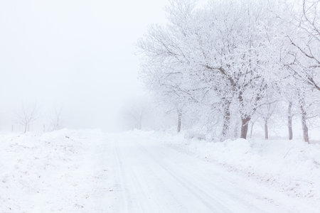Serene winter landscape with a snow covered road flanked by trees, all blanketed in heavy snowfall. Scene exudes calmness and quiet, capturing the essence of a peaceful winter dayの写真素材