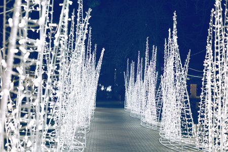 Pathway lined with tree-shaped structures with shimmering white lights creates magical night winter scene. Glowing decorations illuminate dark surrounding a festive glow along cobblestone walkwayの写真素材