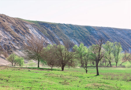 Spring landscape in vibrant colors of green, contrasting with hillside. Serene landscape with grassy field dotted with leafless trees. Rugged hillside with exposed rock layers rises sharplyの写真素材