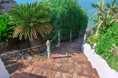 Stone pathway with rope railing descends through lush Mediterranean greenery toward the sea. Framed...