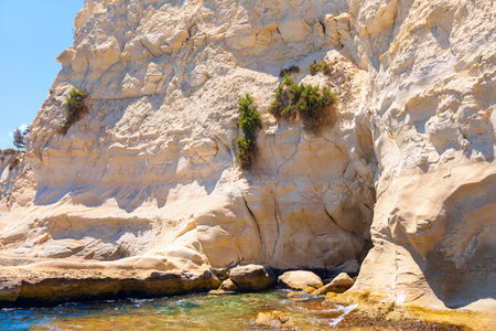 Sunlight hits sculpted white cliffs rising above clear, shallow waters, creating dramatic textures and shadows. Sparse green shrubs cling to the rock, adding contrast to the coastal landscapeの写真素材