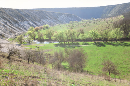 Lush green valley blooms in springtime, cradling a tranquil river beneath a line of trees. Season vivid renewal below. Tranquil valley unfolds, showcasing meandering stream and vibrant green meadowの写真素材