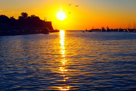 Golden hour light shimmers across gentle ripples as sun sets over tranquil body of water, casting warm glow on entire scene. Silhouettes of trees, birds, and moored boats add depth and serenityの写真素材