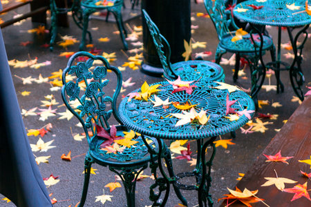 Outdoor cafe tables and chairs, adorned with a carpet of autumn leaves. Bistro set covered in colorful fallen leaves, creating a cozy outdoor settingの写真素材
