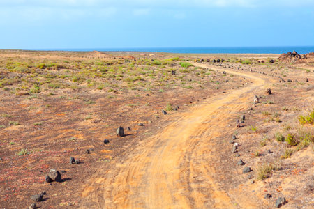 Dirt road winds through arid landscape, stretching towards a distant ocean. Solitary path cuts...
