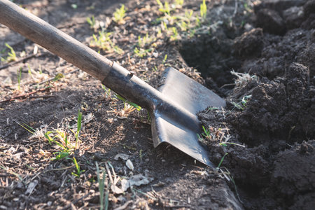 Metal shovel with a wooden handle digs into soil, lifting fresh earth. Sunlight highlights texture of the dirt and green grass around the working areaの写真素材
