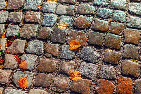 Weathered gray cobblestones forms a textured mosaic, scattered with vibrant orange and yellow autumn leaves. Subtle moss and moisture in the cracks evoke a rainy fall dayの写真素材