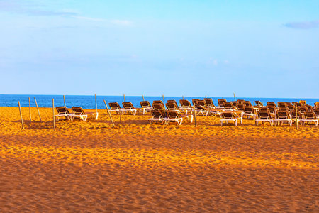 Sun loungers sit on a wide, golden sandy beach that slopes gently toward calm, blue ocean under clear sky. Vertical wooden poles are driven into sand, suggesting future use for shading resort locationの写真素材