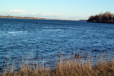 Columbia River shorelineの写真素材