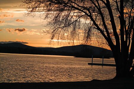 Sunset Treeの写真素材