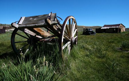 Bodieの写真素材