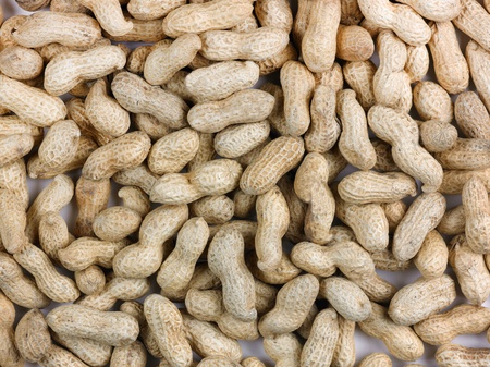 Seen from above Peanuts still in their shellの写真素材
