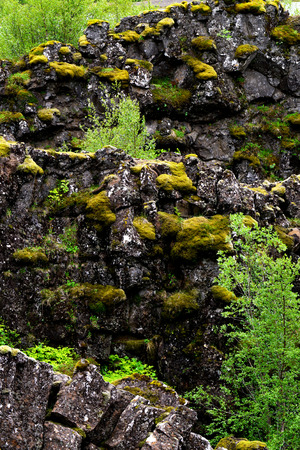 Volcanic rock strata foliage and moss in Icelandの写真素材