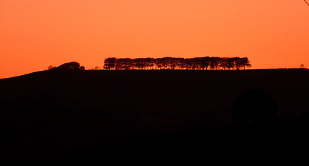 The silhouette of a line of trees on an distant hillside against an orange sunset skyの写真素材