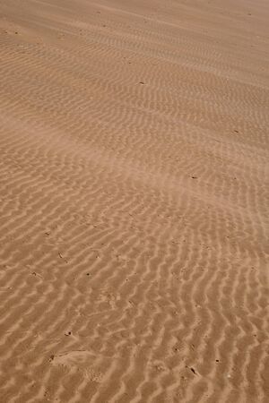 a view of rippled beach sand close up without a horizonの写真素材