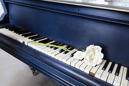 A blue old piano on wheels, on the keys is a white rose with a green stem. Musical instrumentの写真素材