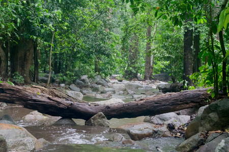 waterfall in Chonburi, Thailand. waterfall after rain. waterfall in the forest.