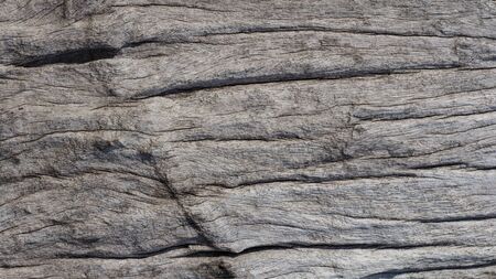 Abstract pattern wooden in the forest. Wood plank brown texture background.  tuxture wooden dry for as background.の写真素材