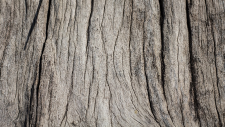 Old wooden texture background. Wood pattern Background.の写真素材