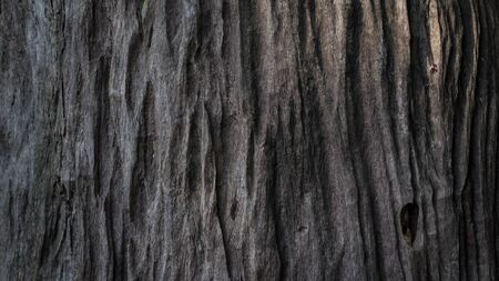 Old wooden texture background. Wood pattern Background.の写真素材